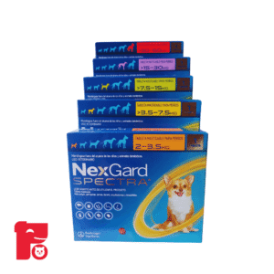 Antipulgas NexGard Spectra Perro