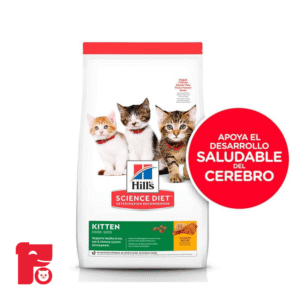 Hills Gatito Kitten