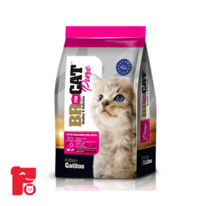 BR Forcat Gatitos